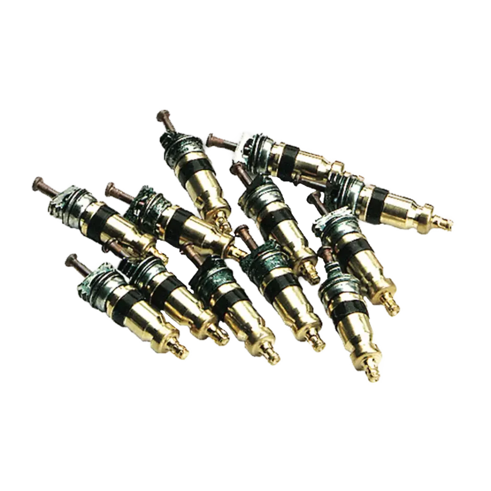 AVS1 Valve Core Pack (10pcs)